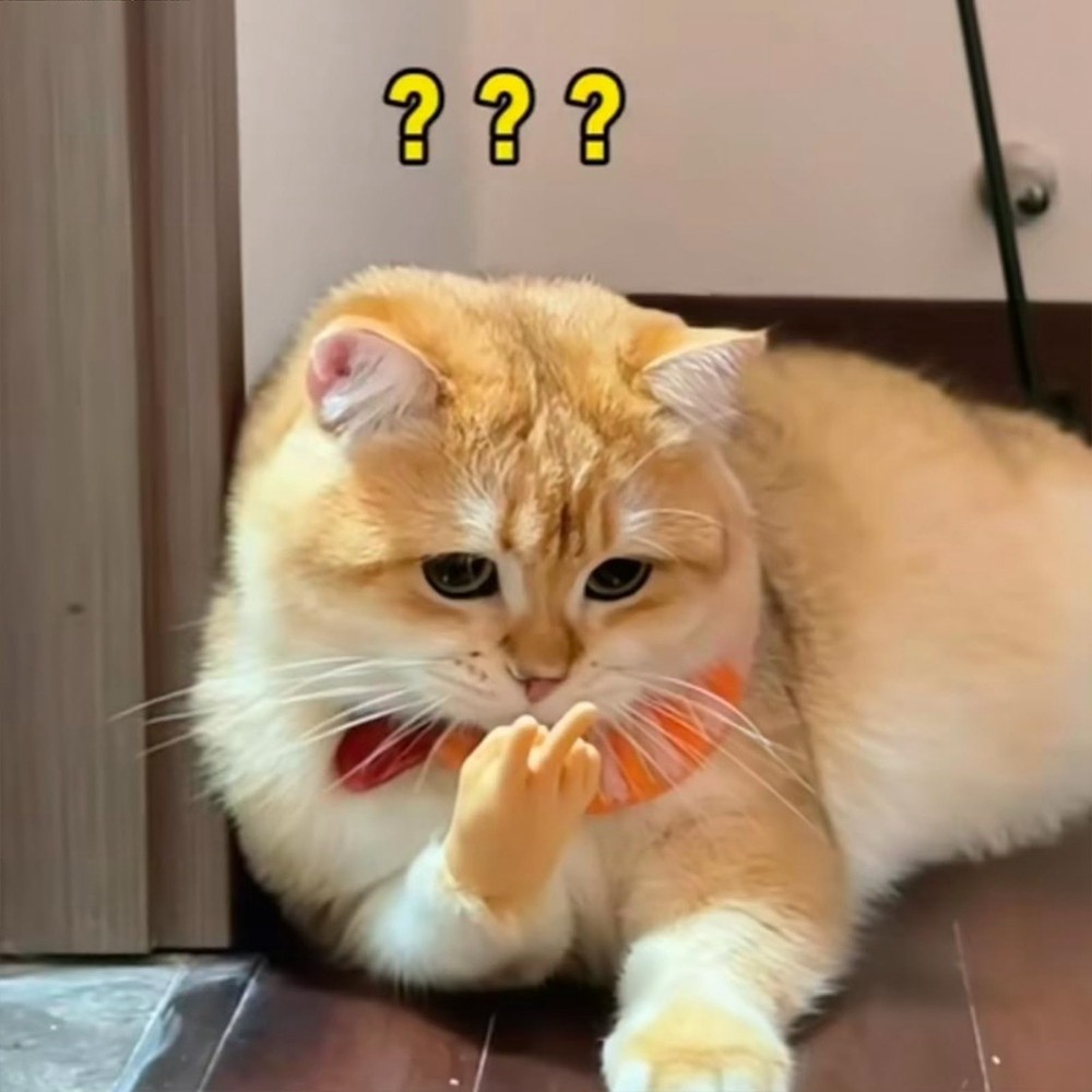 Stretchable Hands Toy, Hands for Cats, Stretchable Hands Toy,9121