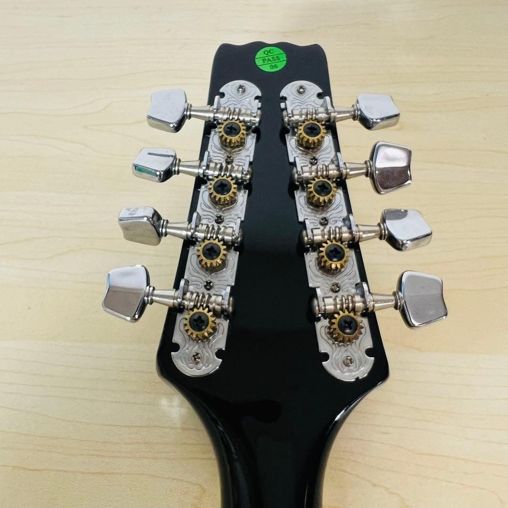 ARIA AM-20 Mandolin 8 string with hard case