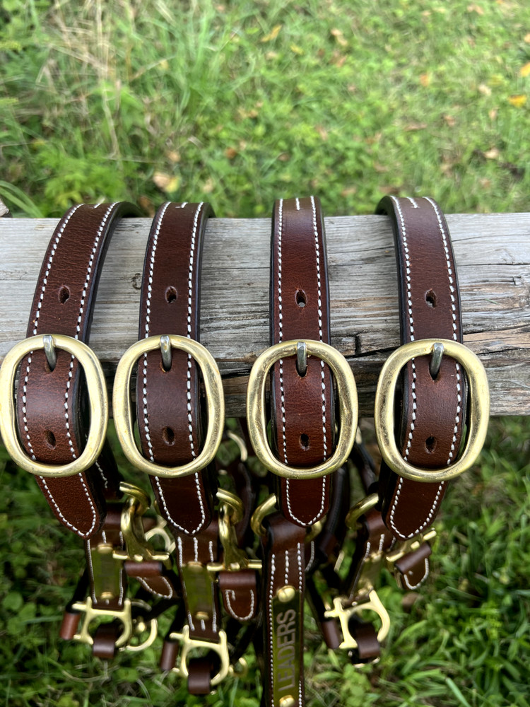Leaders 1" Havanna Brown Leather Halter White Stitch Solid Brass