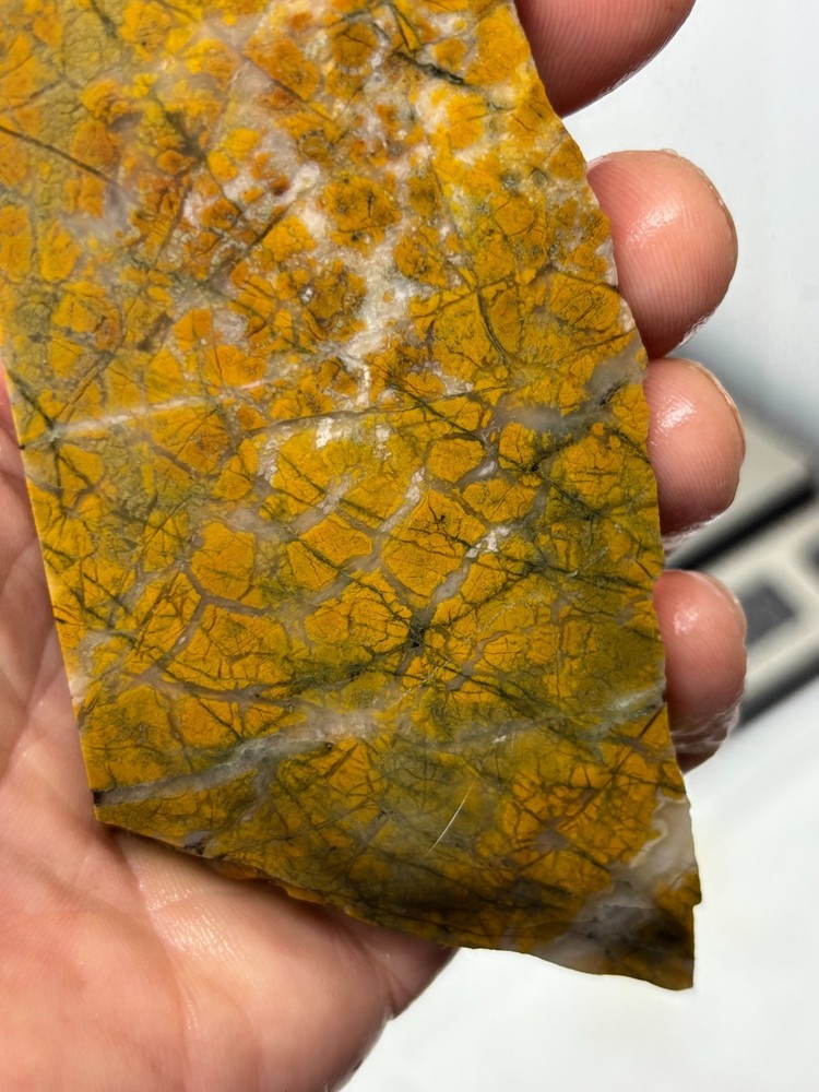 Brecciated Jasper Slab Cabbing Lapidary Combo Ship Available