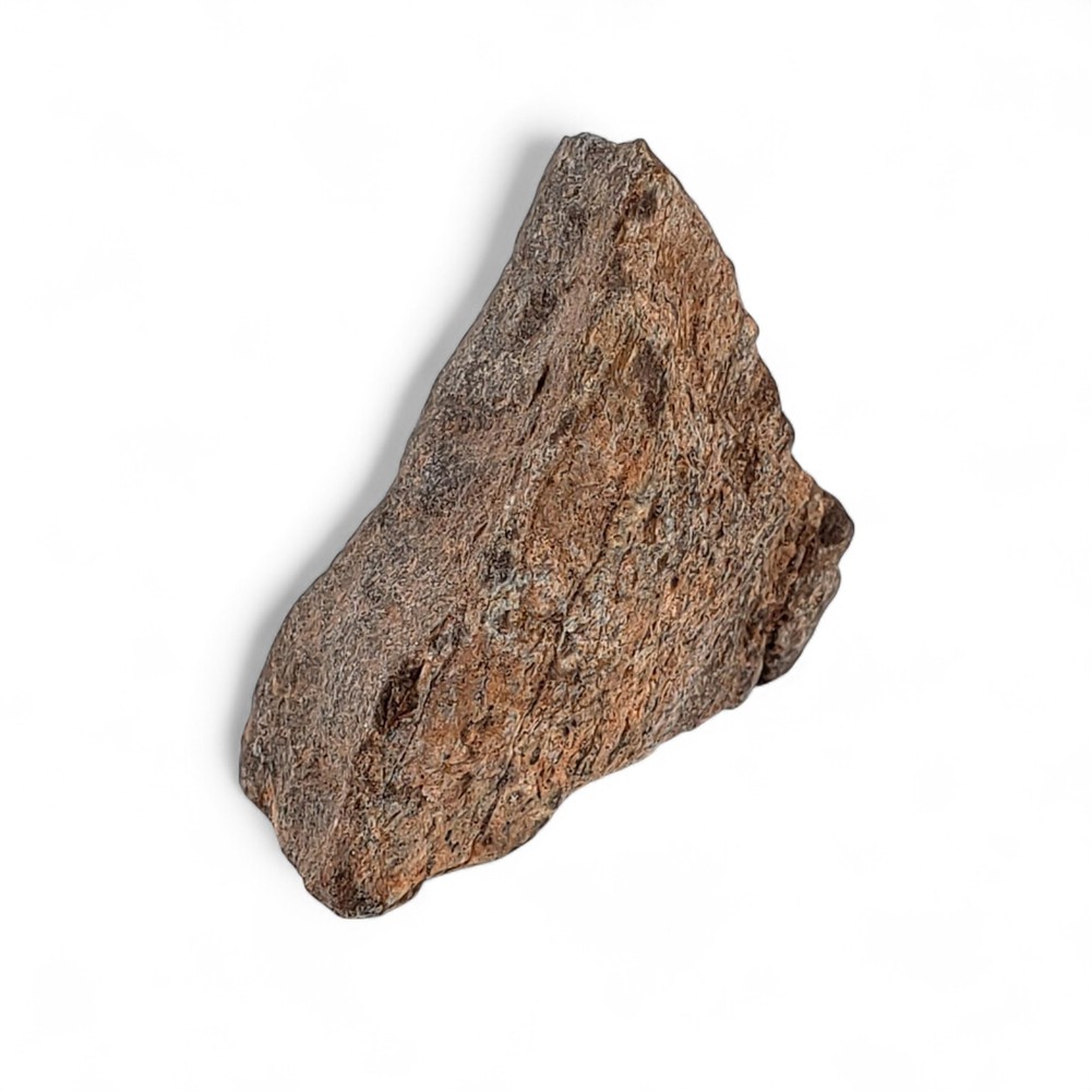 Jurassic Dinosaur Fossil Bone from Morrison Formation Includes Display