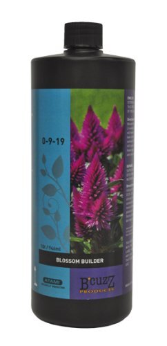 B'Cuzz Blossom Builder 32oz