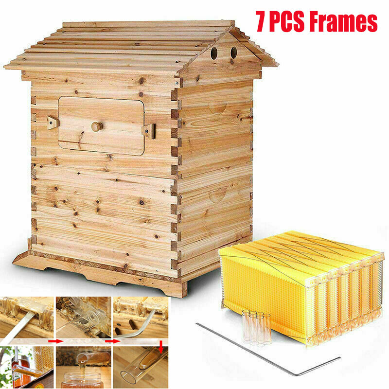 Cedar Wood Auto Bee hive Brood Box 7X Auto Honey Comb Beehive Frames Beekeeping