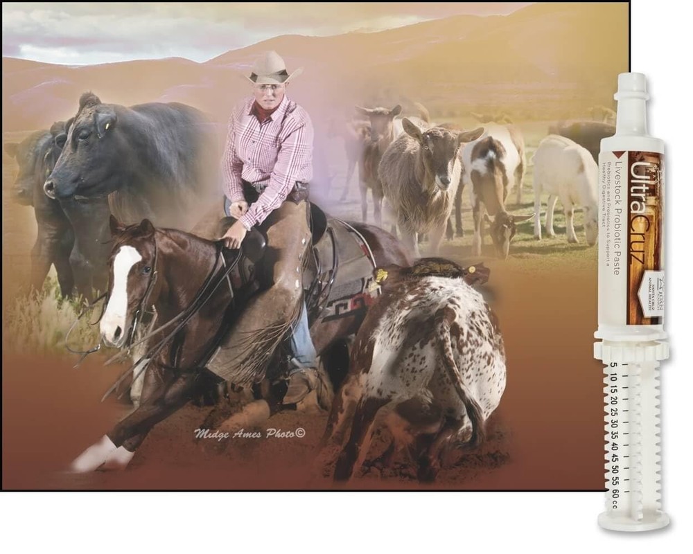 60 ml Paste for 4-Day Supply | Effective Solution for Your Needs