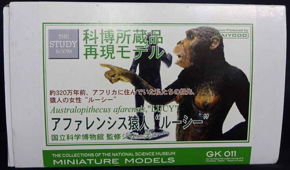 Kaiyodo Study Room resin Australopithecus Lucy figure excellent condition in box