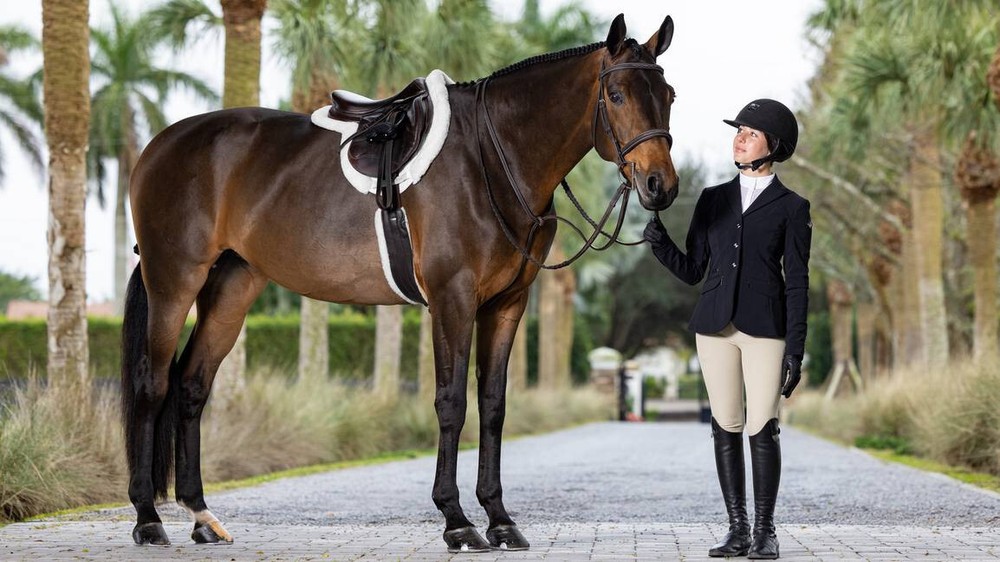 LeMieux Merino+ ProSorb Hunter Show Pad - White