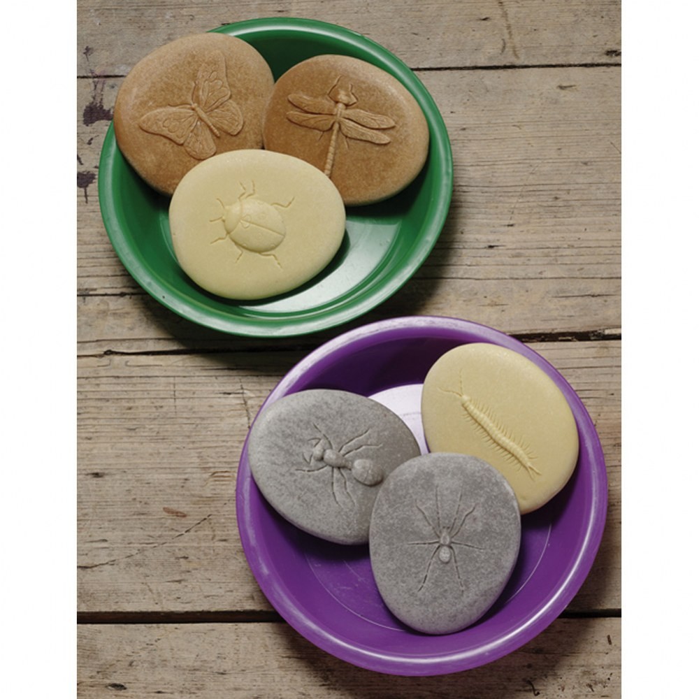 Yellow Door Play & Explore Bugs