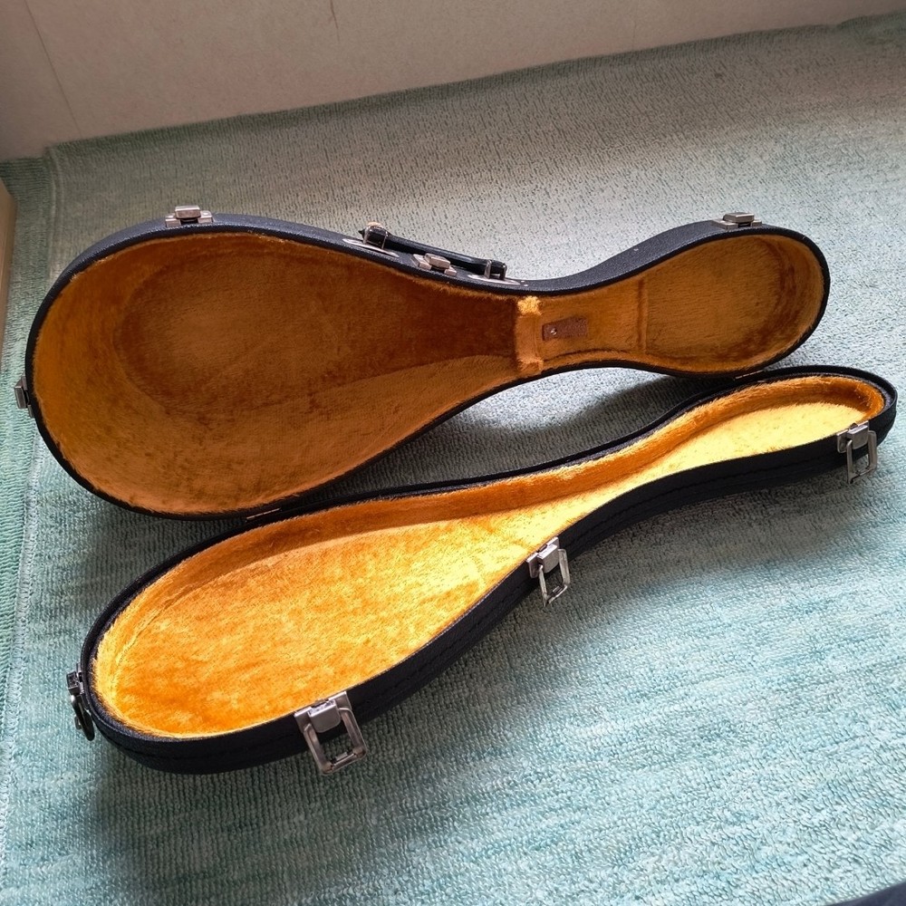 Mandolin M-30
