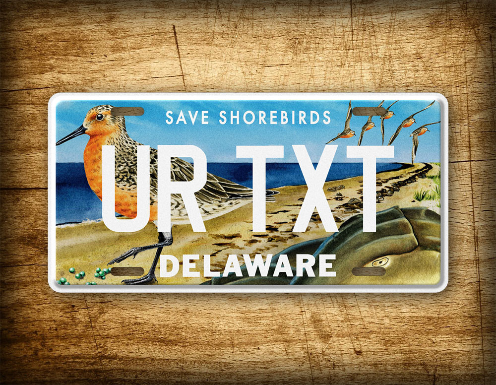 Personalized Delaware Save Shorebirds License Plate 6x12 CustomTag