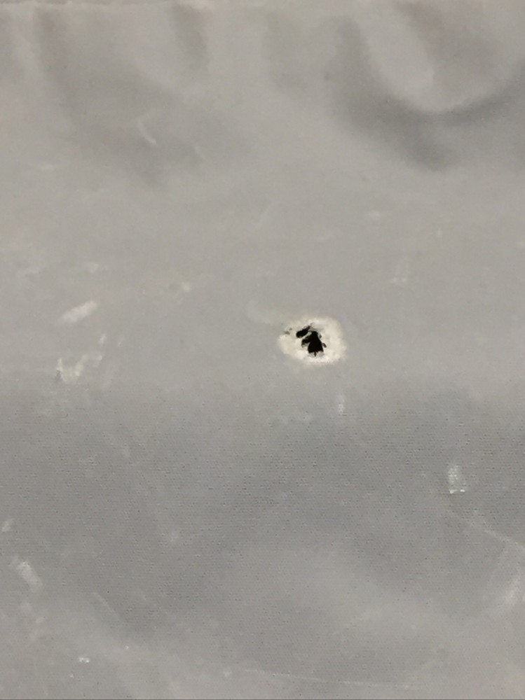 TUPPERWARE CONSULTANT EXPANDABLE BAG FOR KIT