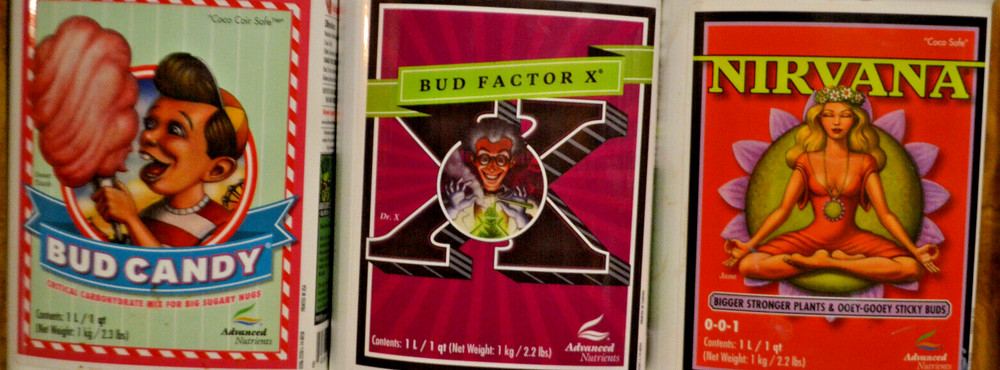 Advanced Nutrients Bud Factor X Tasty Terpenes Bud Candy - Choose Size