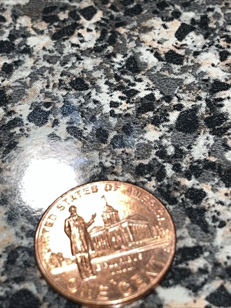 2009 Red Brown Lincoln Penny No Mint Mark