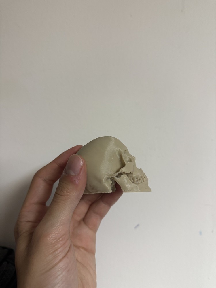 Mini Human Skull 💀 (Good Resolution) (Bone color, PLA plastic)
