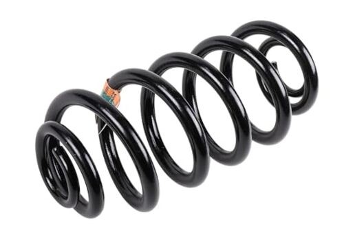 22878996 Rear Coil Spring