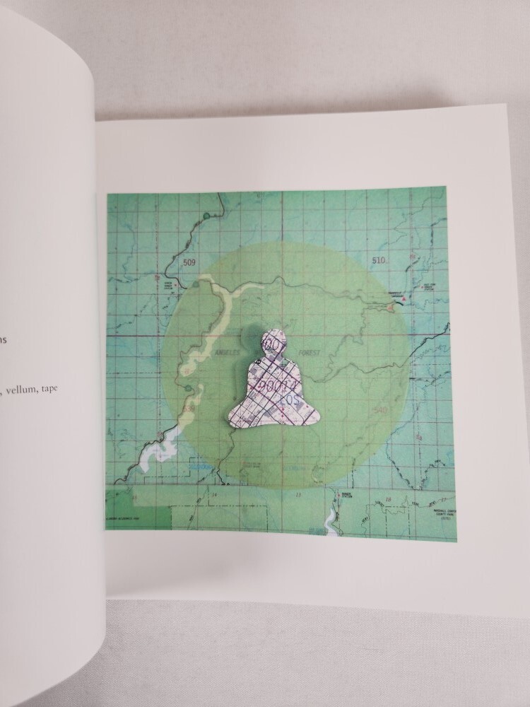 Dawn Arrowsmith PATH/collage 2008 Paperback Illustrated