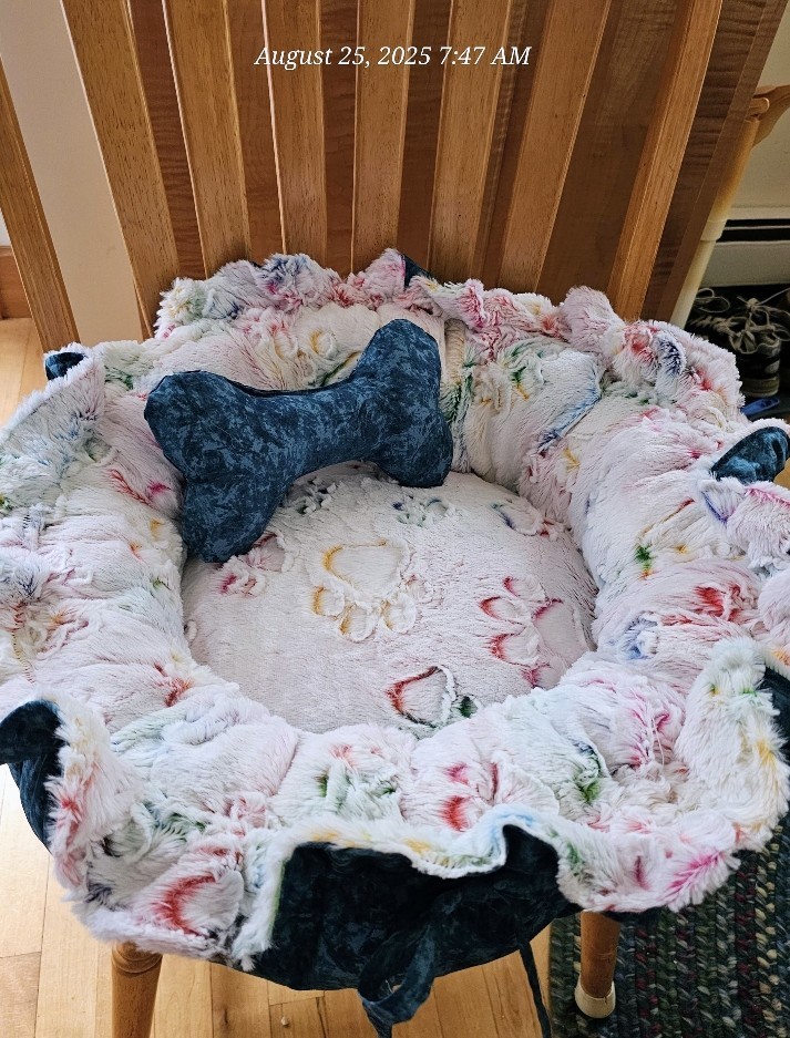 Hand crafted beautiful pet bed