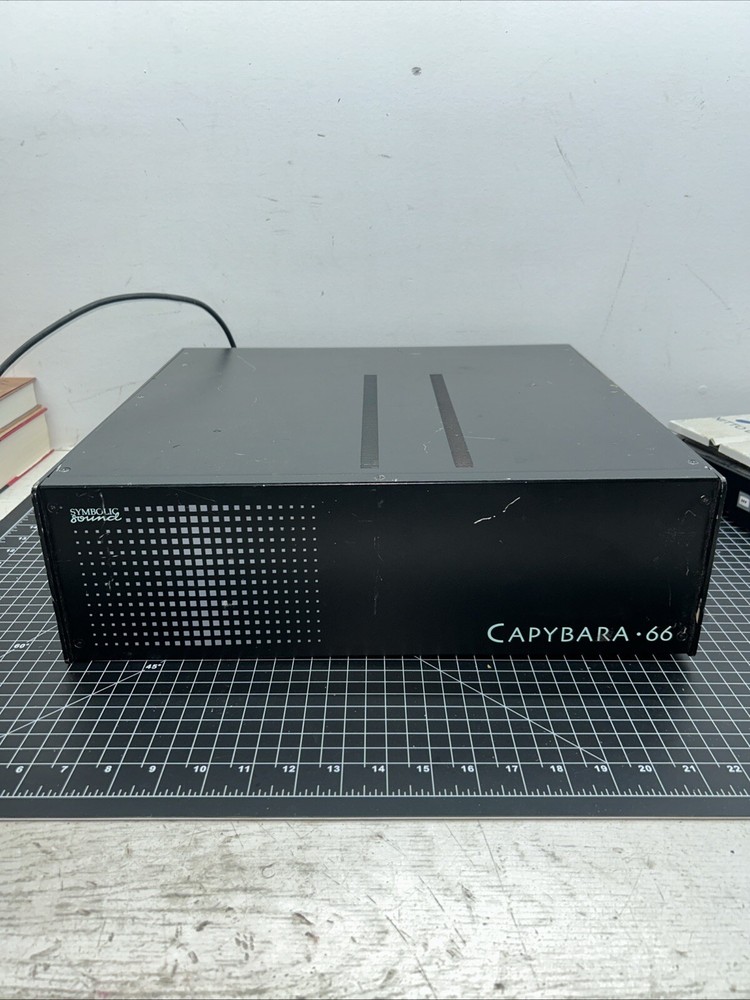Symbolic Sound Capybara•66