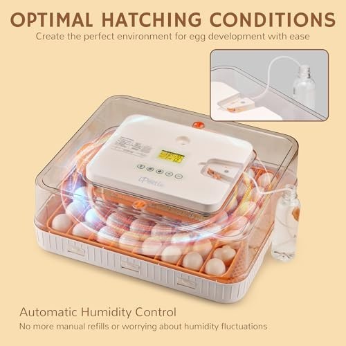 Incubators for Hatching Eggs, Egg Incubator with Automatic Egg Turning and Humid