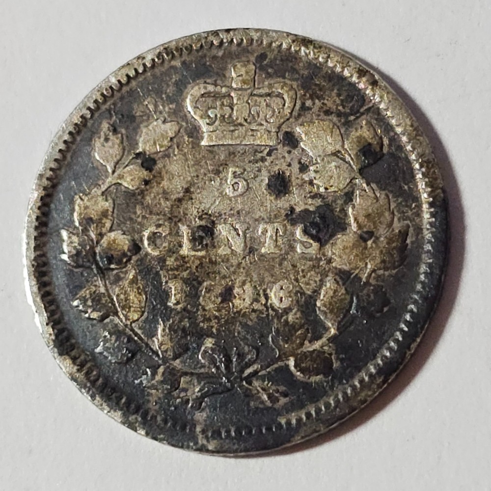 1896 Canada 5 five cents - LOW COMBINED SHIP - C5-381