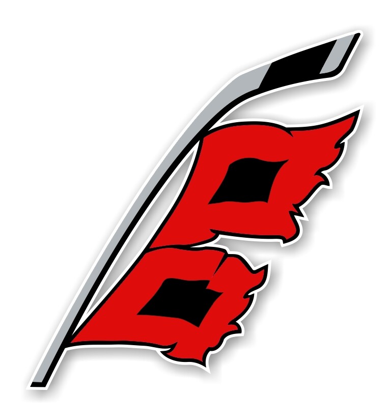 Carolina Hurricanes  Precision Cut Decal / Sticker