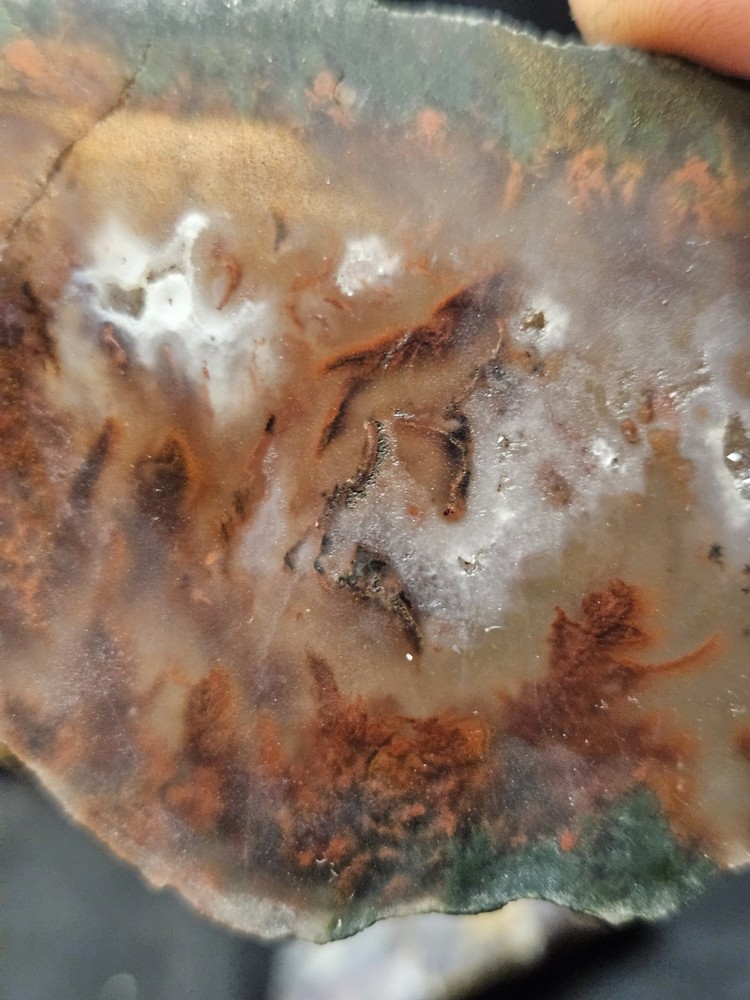 Plume Agate Multicolored Slab Specimen (1.76oz)