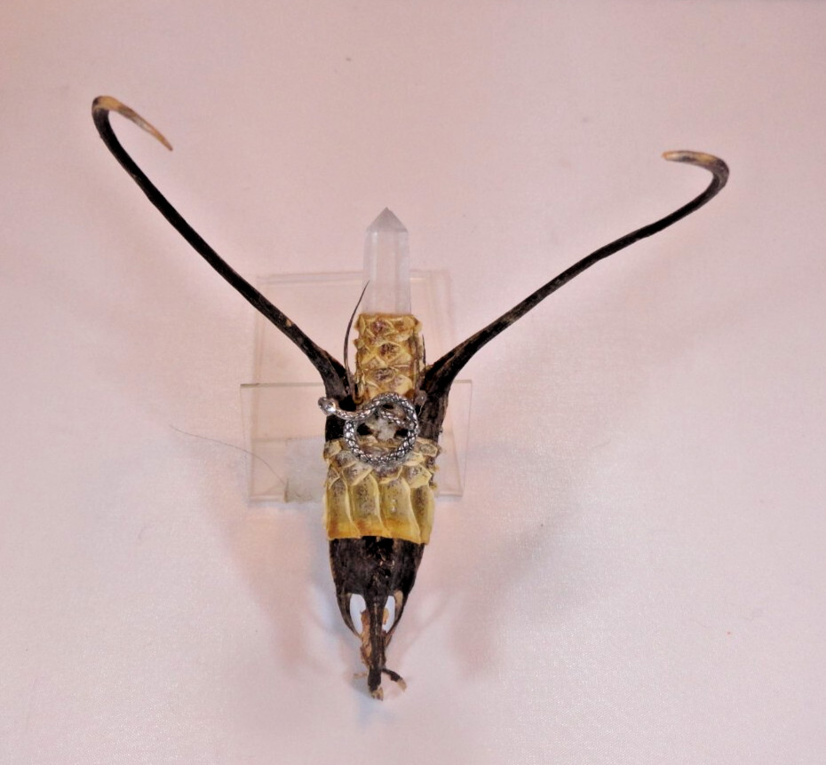 Primitive Folk Art WICCA Devil's Claw handcrafted Witchcraft magical object