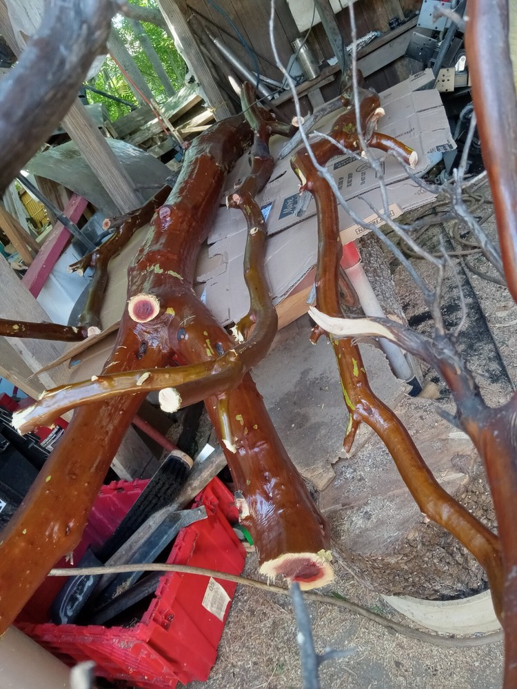manzanita wood