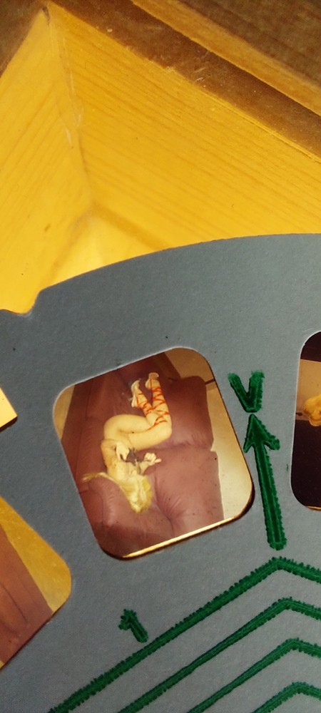 view-master Reel Nude Vintage