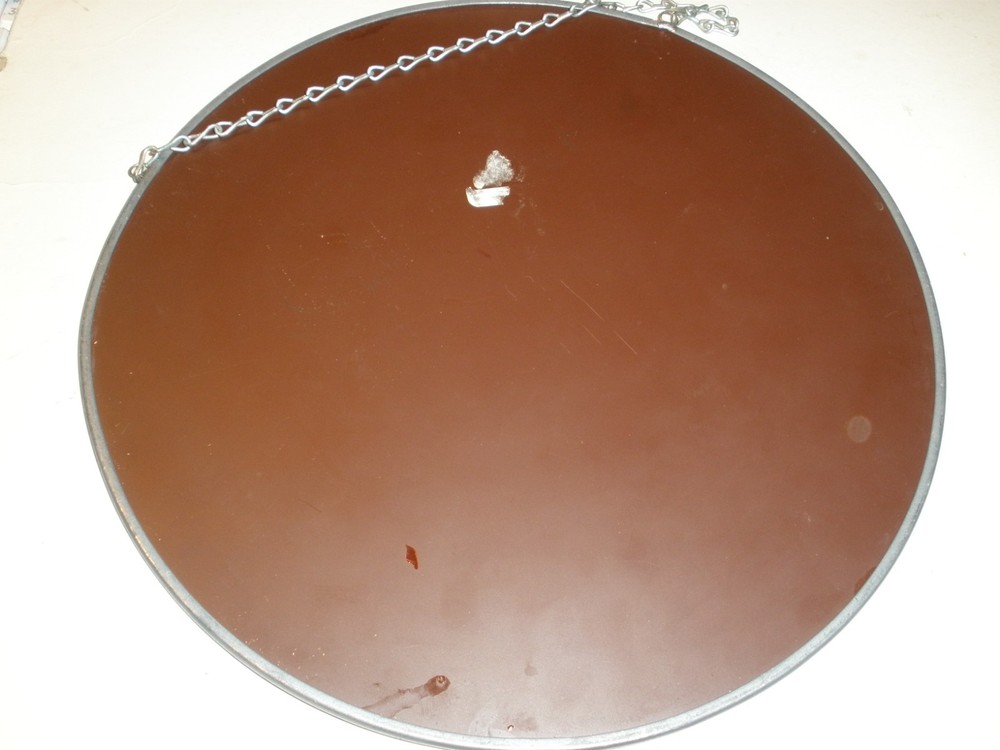 Suncatcher Floral Hanging Mirror 9.5" EUC