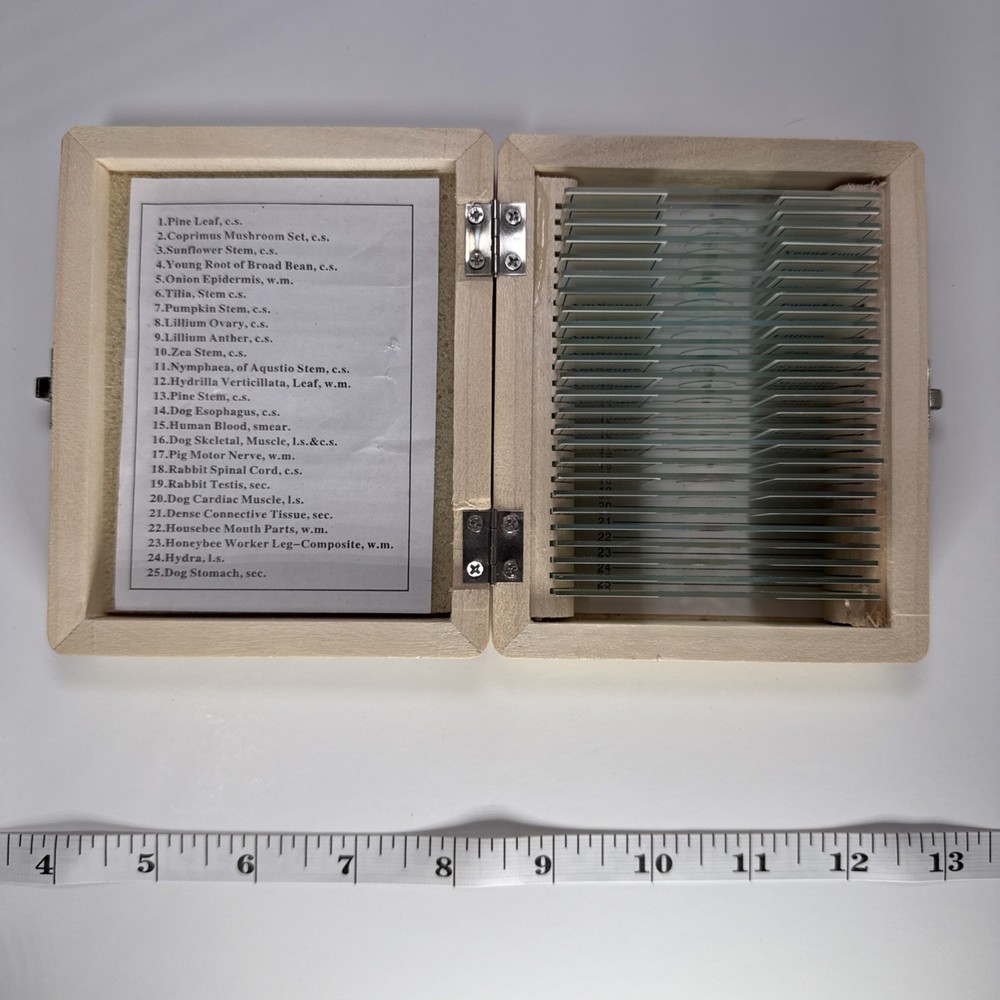 AmScope 25 Prepared Microscope Slide Set for Basic Biological Science