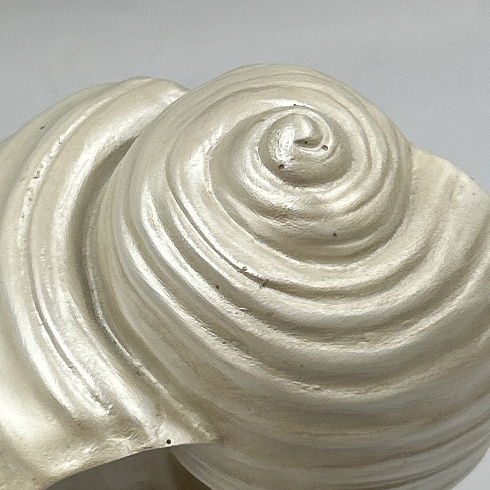 Iridescent White 6.75” Conch Shell Bookend Ceramic Single
