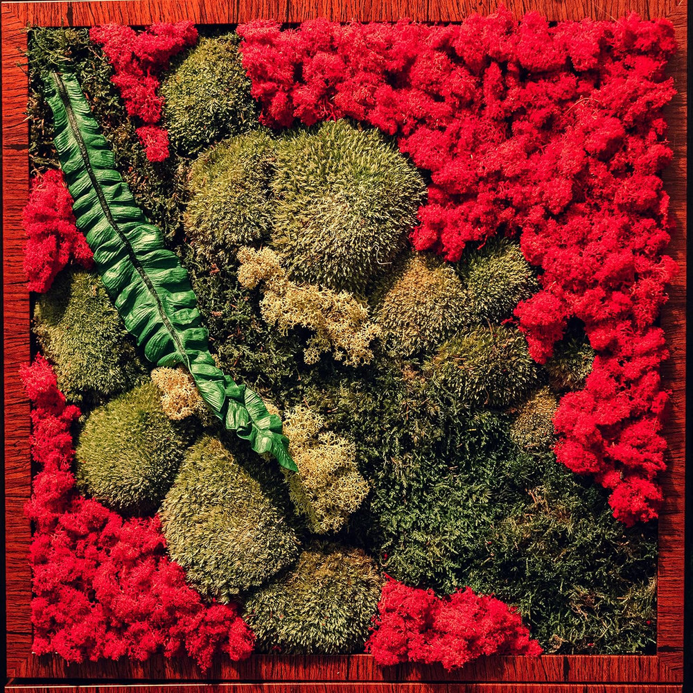 ML3020 Assorted Reindeer Moss, 3 Oz.