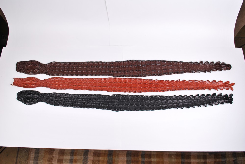 Genuine Saltwater crocodile back strap (skins)