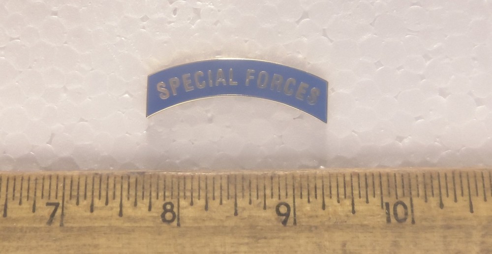 Special Forces Tab Pin