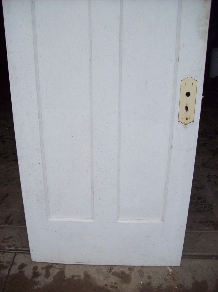 Single painted vertical panel door (D j)