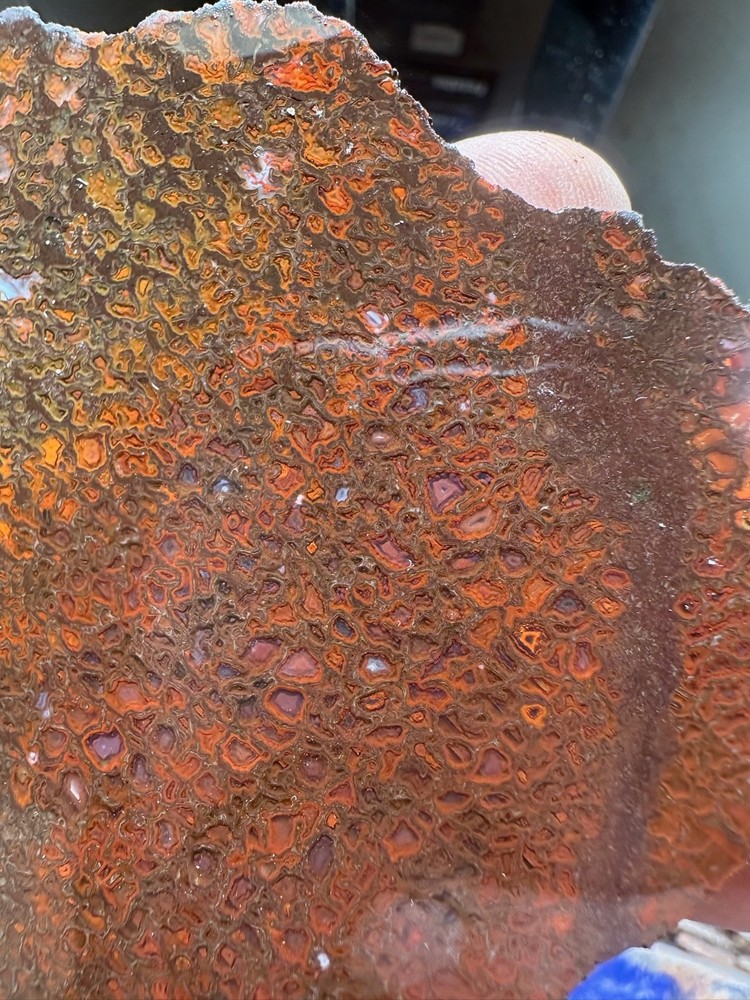 Dinosaur bone rough **hxtled slab.