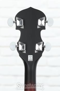 Washburn Americana B8-Pack Banjo Pack