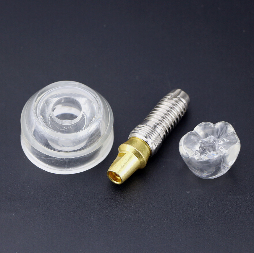 Dental Implant Model Demonstration Teeth Study Teach Models Detachable M2020