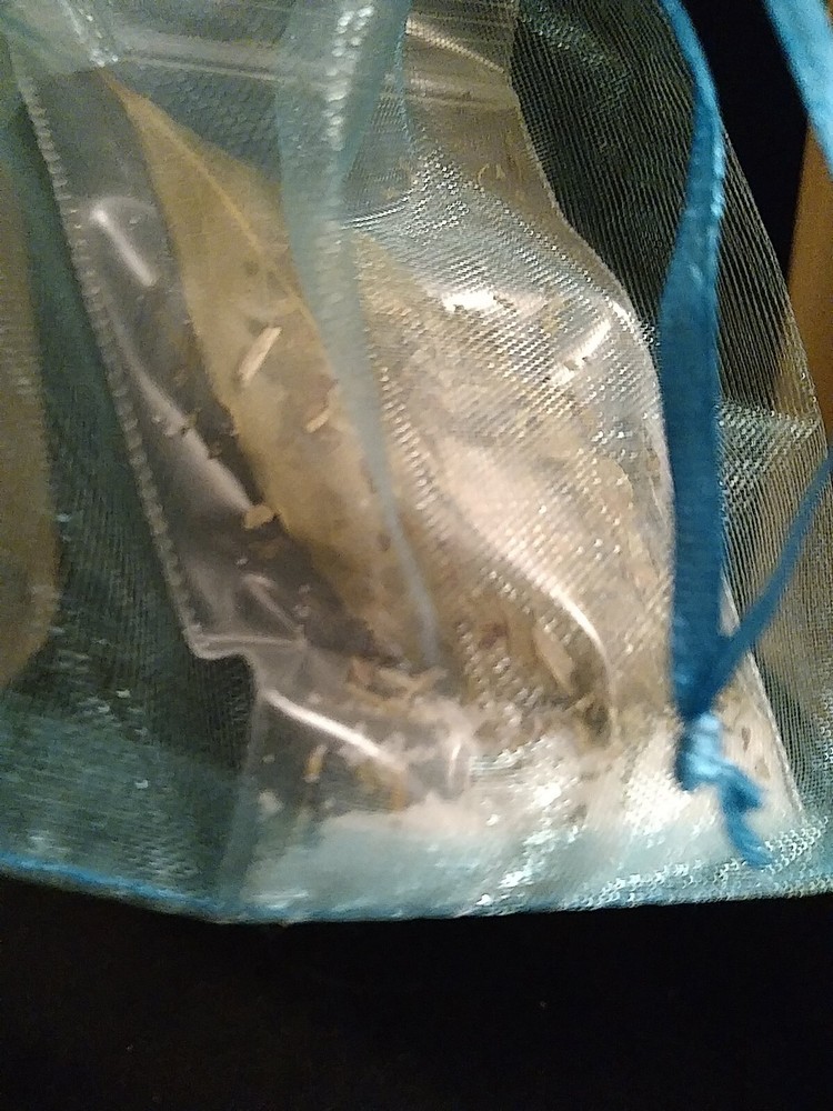 Motivation Mojo Bag hoodoo bag Spell Bag