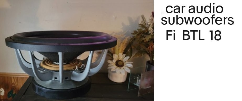 FI BTL 18-inch Subwoofer