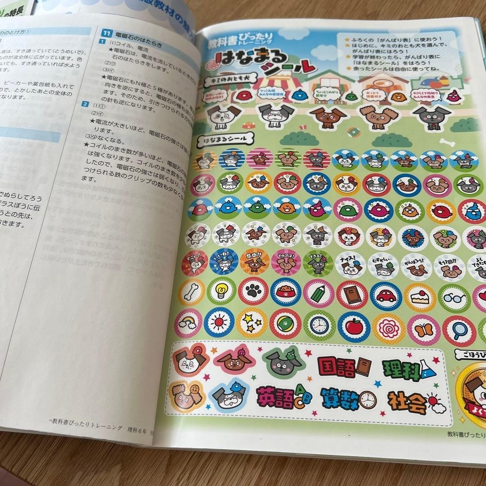 Japanese school textbook Perfect training for 6th grade elementary textbooks Sci