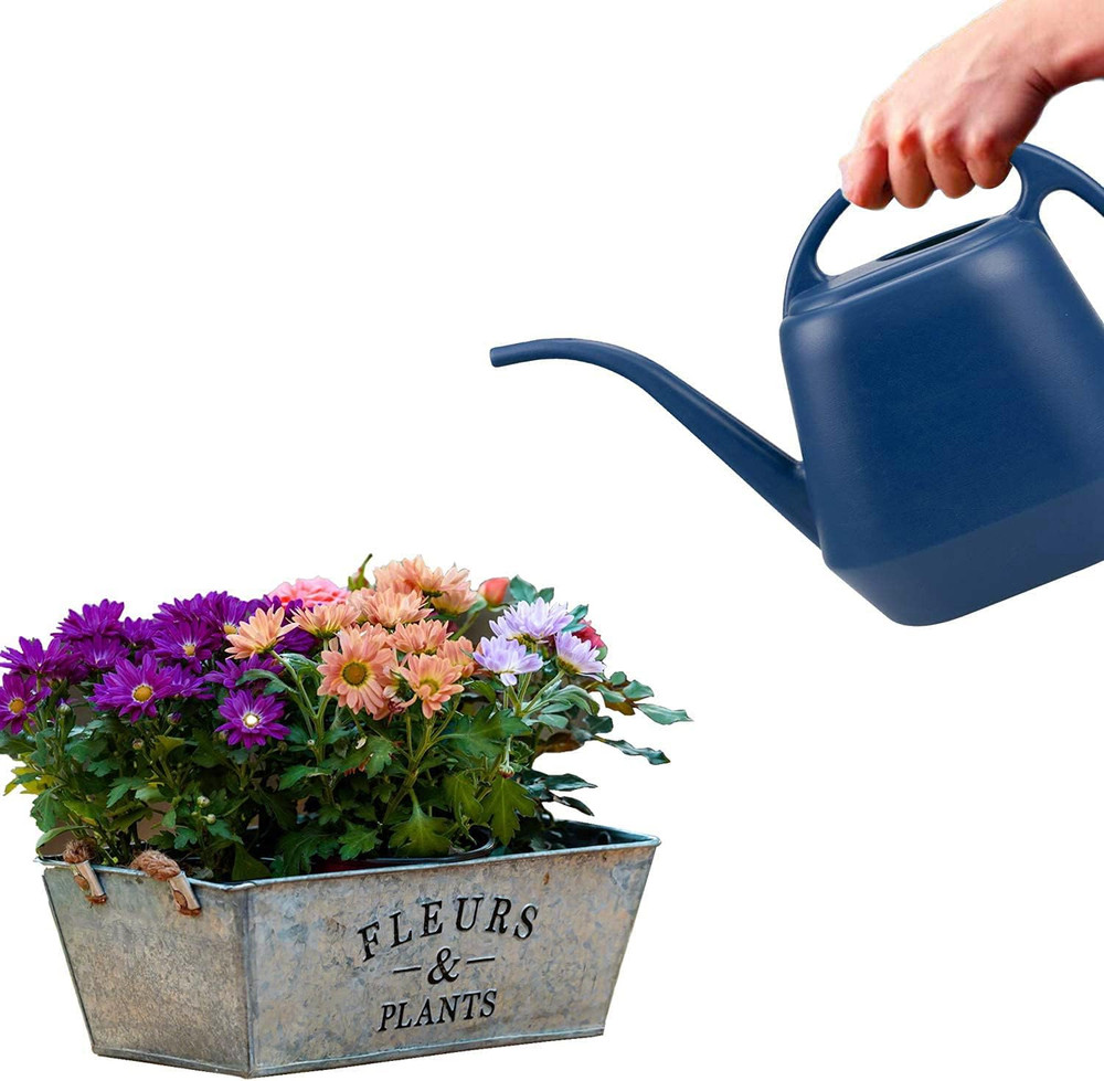 Plastic Watering Can, Blue, 1-Gallon