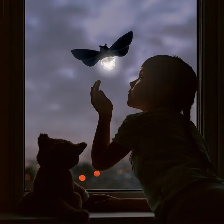 OTOTO Design Lightbug Solar Powered Night Light