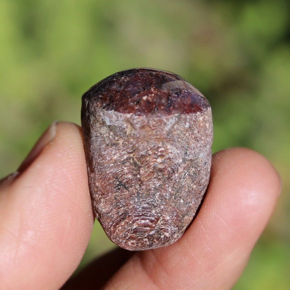 Fluorescent "Star" Ruby, Red Corundum from India (RUB31)