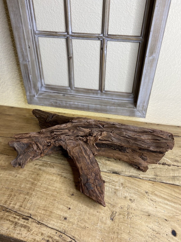 Aquatic Driftwood