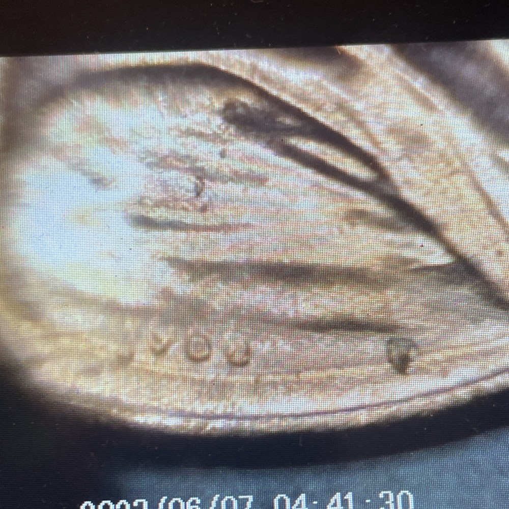 2024 Penny Lot, Extra V , From Bu Roll