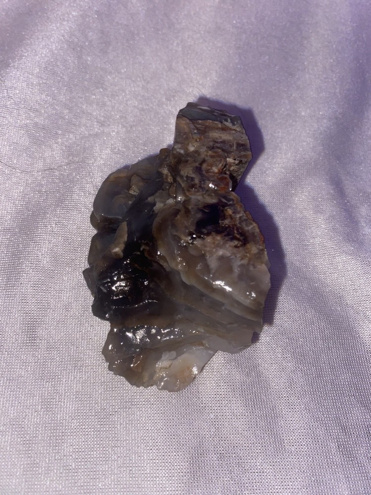 Petrified Wood