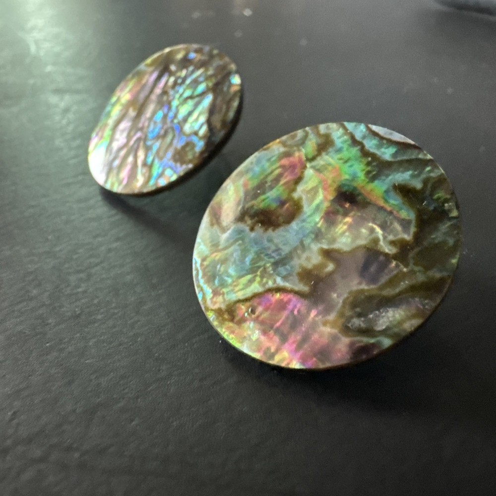 Chunky Abalone Boho Round Pierced Earrings