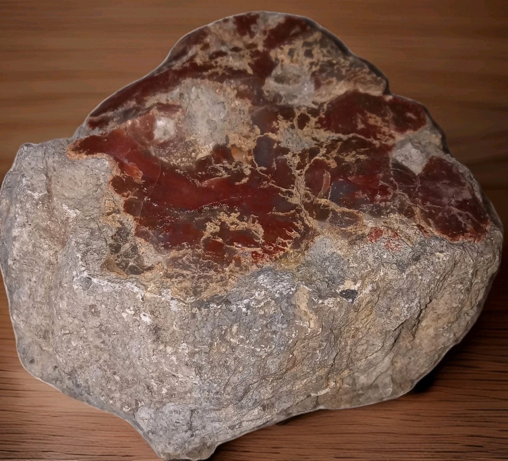 Petrified Wood Rough Specimen 234g