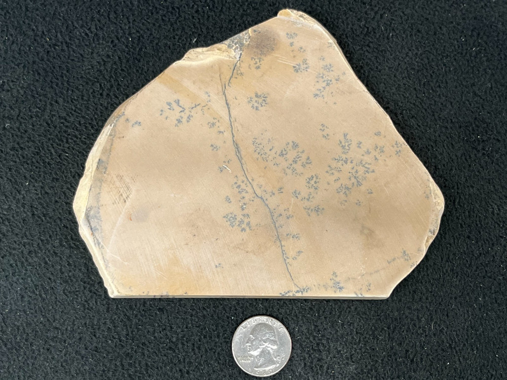 Dendritic Jasper Slab